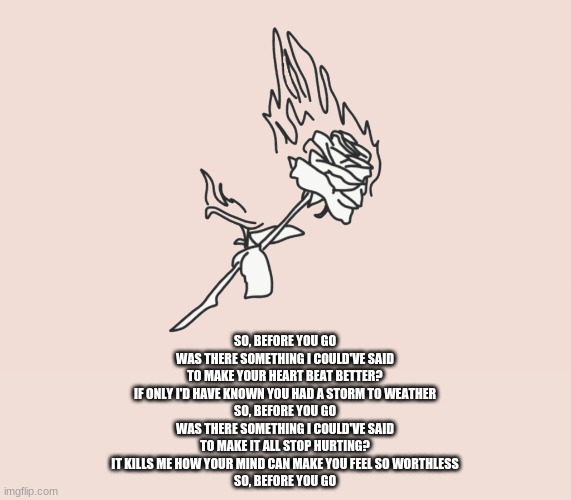 burning rose | SO, BEFORE YOU GO
WAS THERE SOMETHING I COULD'VE SAID
TO MAKE YOUR HEART BEAT BETTER?
IF ONLY I'D HAVE KNOWN YOU HAD A STORM TO WEATHER
SO, BEFORE YOU GO
WAS THERE SOMETHING I COULD'VE SAID
TO MAKE IT ALL STOP HURTING?
IT KILLS ME HOW YOUR MIND CAN MAKE YOU FEEL SO WORTHLESS
SO, BEFORE YOU GO | image tagged in burning rose | made w/ Imgflip meme maker