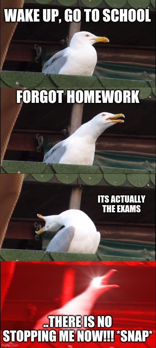 Inhaling Seagull | WAKE UP, GO TO SCHOOL; FORGOT HOMEWORK; ITS ACTUALLY THE EXAMS; ..THERE IS NO STOPPING ME NOW!!! *SNAP* | image tagged in memes,inhaling seagull | made w/ Imgflip meme maker