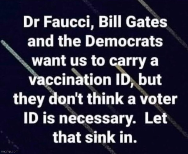 Hypocrites | image tagged in liberal logic,liberal hypocrisy,stupid liberals,memes,voter fraud | made w/ Imgflip meme maker