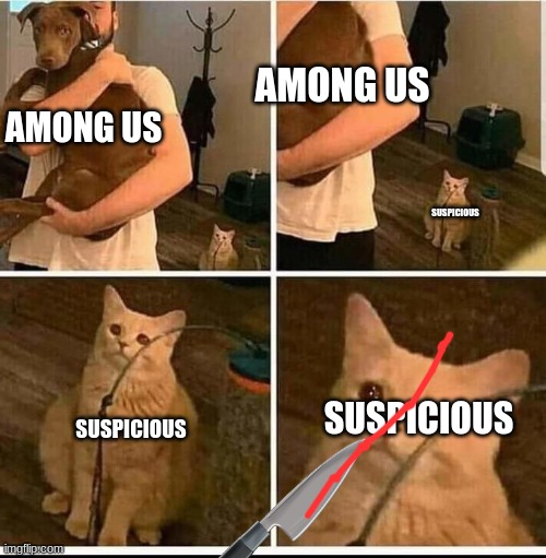sad cat in background | AMONG US; AMONG US; SUSPICIOUS; SUSPICIOUS; SUSPICIOUS | image tagged in sad cat in background | made w/ Imgflip meme maker