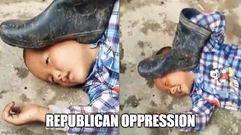 Pressing a Boot on Your Own Head | REPUBLICAN OPPRESSION | image tagged in pressing a boot on your own head | made w/ Imgflip meme maker