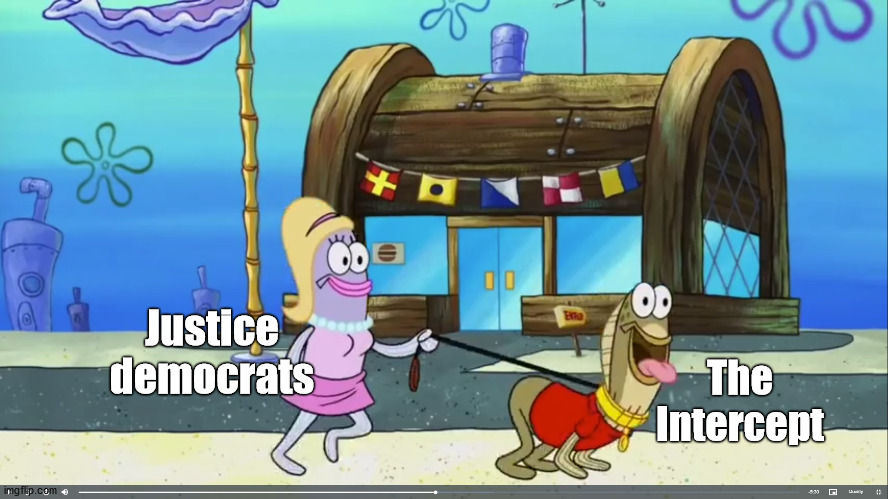 I hate the democrats soooo much.  they stabbed bernie in the back twice and prance around like they are helping | Justice democrats; The Intercept | image tagged in this town accepts pets,politicstoo,politics | made w/ Imgflip meme maker