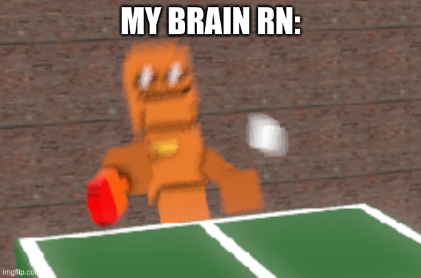 true story | MY BRAIN RN: | image tagged in memes,funny,wtf,idk | made w/ Imgflip meme maker