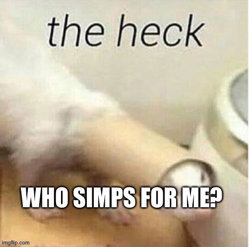 Y 3 3 e t | made w/ Imgflip meme maker