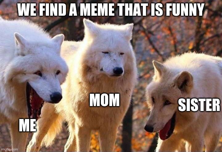 Laughing wolf | WE FIND A MEME THAT IS FUNNY; MOM; SISTER; ME | image tagged in laughing wolf | made w/ Imgflip meme maker