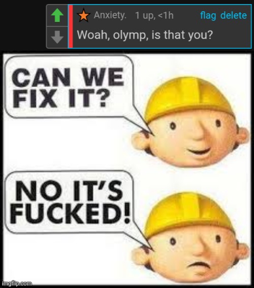 The idiot really thought I'm a sitewide mod | image tagged in can we fix it no it's f'd | made w/ Imgflip meme maker