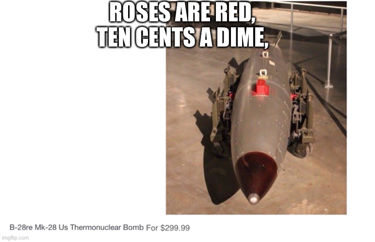 Excuse me? | ROSES ARE RED,
TEN CENTS A DIME, | image tagged in roses are red | made w/ Imgflip meme maker