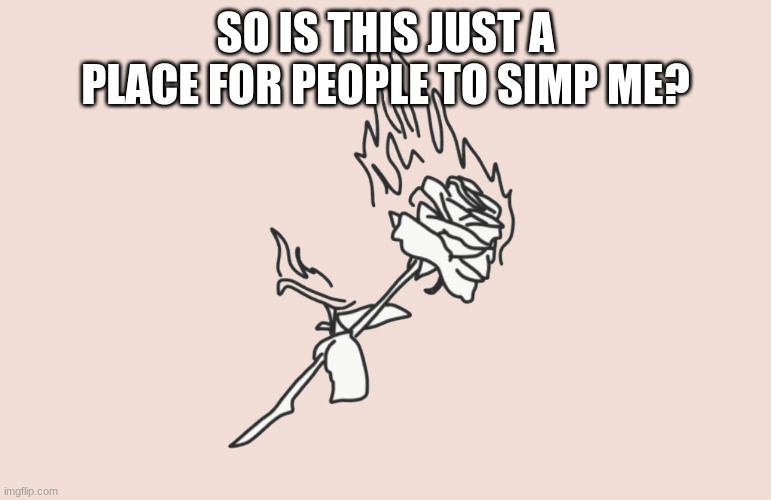 burning rose | SO IS THIS JUST A PLACE FOR PEOPLE TO SIMP ME? | image tagged in burning rose | made w/ Imgflip meme maker