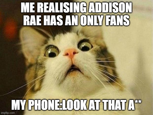 Addison Rae | ME REALISING ADDISON RAE HAS AN ONLY FANS; MY PHONE:LOOK AT THAT A** | image tagged in memes,scared cat | made w/ Imgflip meme maker