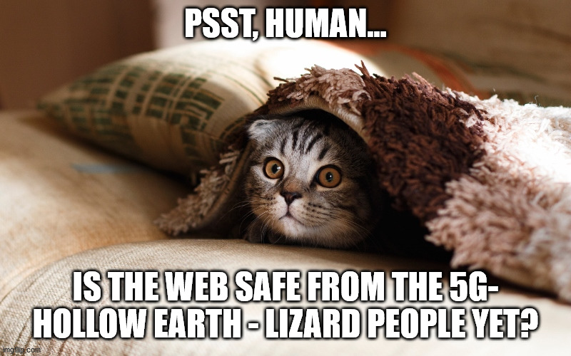 Psst! Kitteh inquires about status of the World Wide Webz | PSST, HUMAN... IS THE WEB SAFE FROM THE 5G- HOLLOW EARTH - LIZARD PEOPLE YET? | image tagged in kitteh under blanket,kitteh,tin foil hat,hollow earth,lizard,people | made w/ Imgflip meme maker