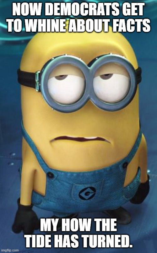 Minion Eye Roll | NOW DEMOCRATS GET TO WHINE ABOUT FACTS MY HOW THE TIDE HAS TURNED. | image tagged in minion eye roll | made w/ Imgflip meme maker