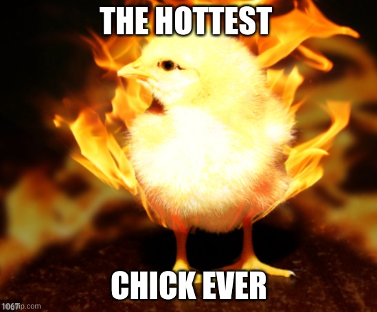 hot chick | THE HOTTEST; CHICK EVER | image tagged in lol so funny | made w/ Imgflip meme maker