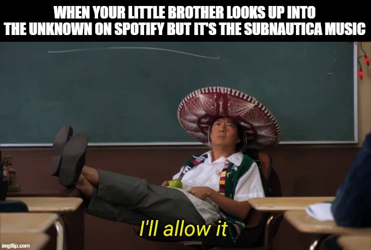 I'll allow it | WHEN YOUR LITTLE BROTHER LOOKS UP INTO THE UNKNOWN ON SPOTIFY BUT IT'S THE SUBNAUTICA MUSIC | image tagged in i'll allow it | made w/ Imgflip meme maker
