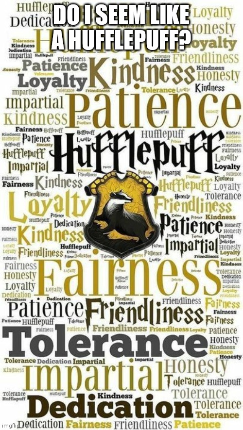 My family said no | DO I SEEM LIKE A HUFFLEPUFF? | made w/ Imgflip meme maker