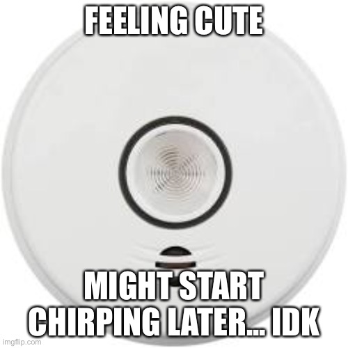 every time | FEELING CUTE; MIGHT START CHIRPING LATER... IDK | image tagged in feeling cute | made w/ Imgflip meme maker