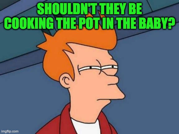 Futurama Fry Meme | SHOULDN'T THEY BE COOKING THE POT IN THE BABY? | image tagged in memes,futurama fry | made w/ Imgflip meme maker