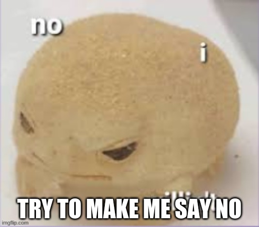 It will probably be easy | TRY TO MAKE ME SAY NO | image tagged in no i willin't | made w/ Imgflip meme maker