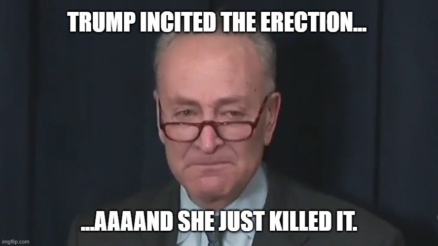 Chuck Schumer Crying | TRUMP INCITED THE ERECTION... ...AAAAND SHE JUST KILLED IT. | image tagged in chuck schumer crying | made w/ Imgflip meme maker