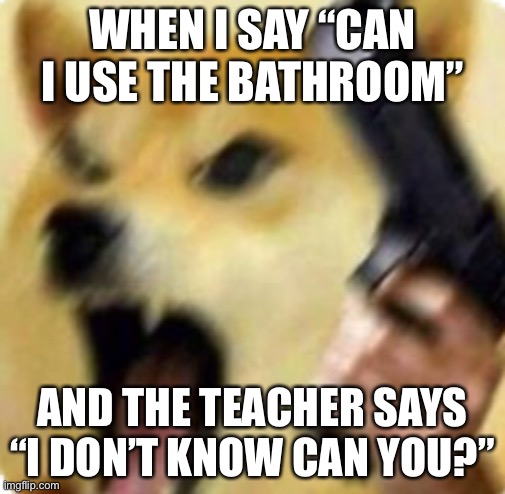 Can I use the bathroom?(no) | WHEN I SAY “CAN I USE THE BATHROOM”; AND THE TEACHER SAYS “I DON’T KNOW CAN YOU?” | image tagged in rage doggo,school | made w/ Imgflip meme maker