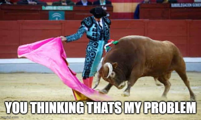 Olé | YOU THINKING THATS MY PROBLEM | image tagged in not my problem | made w/ Imgflip meme maker