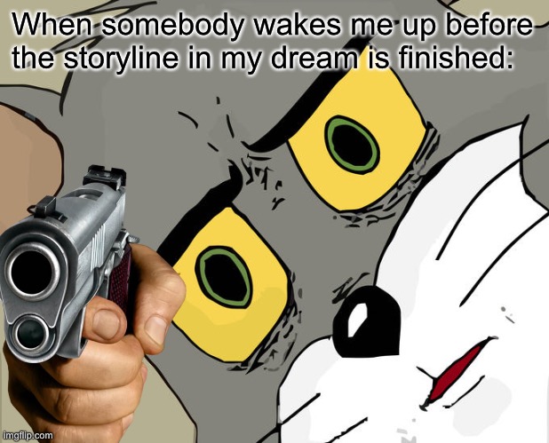 Unsettled Tom Meme | When somebody wakes me up before the storyline in my dream is finished: | image tagged in memes,unsettled tom | made w/ Imgflip meme maker