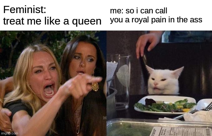 Woman Yelling At Cat | Feminist: treat me like a queen; me: so i can call you a royal pain in the ass | image tagged in memes,woman yelling at cat | made w/ Imgflip meme maker