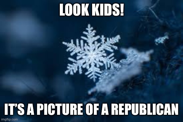 Republican Snowflake | LOOK KIDS! IT’S A PICTURE OF A REPUBLICAN | image tagged in republicans,donald trump | made w/ Imgflip meme maker