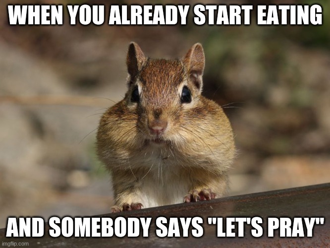 Mem | WHEN YOU ALREADY START EATING; AND SOMEBODY SAYS "LET'S PRAY" | image tagged in chimpmunk | made w/ Imgflip meme maker