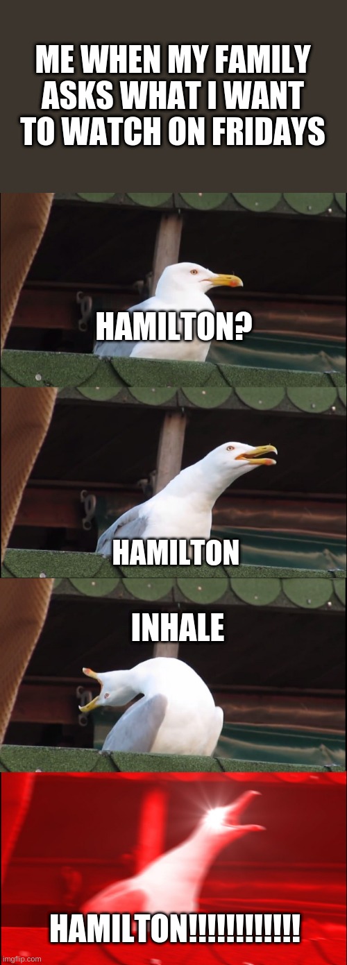 Inhaling Seagull | ME WHEN MY FAMILY ASKS WHAT I WANT TO WATCH ON FRIDAYS; HAMILTON? HAMILTON; INHALE; HAMILTON!!!!!!!!!!!! | image tagged in memes,inhaling seagull | made w/ Imgflip meme maker