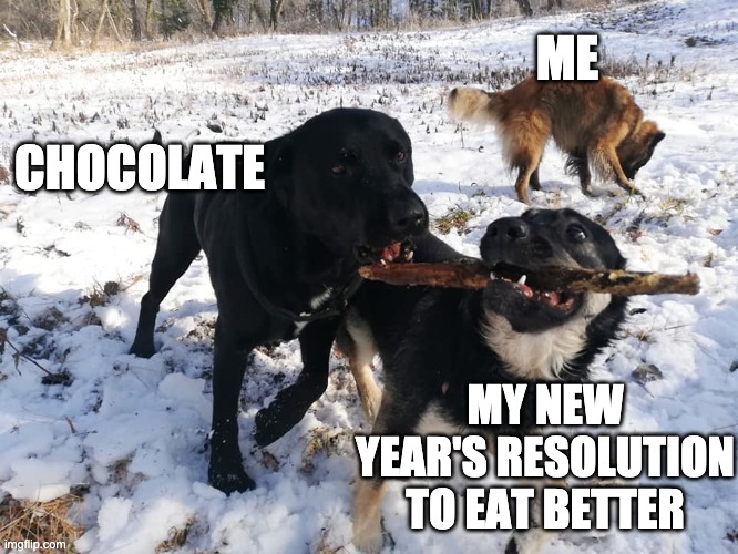 Dog with stick | ME; CHOCOLATE; MY NEW YEAR'S RESOLUTION TO EAT BETTER | image tagged in dog with stick | made w/ Imgflip meme maker