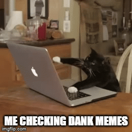me checking dank memes - Imgflip