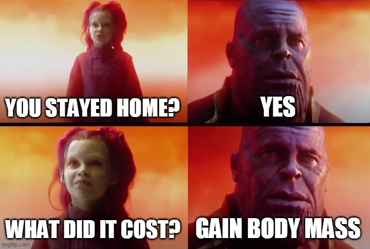 thanos what did it cost |  YOU STAYED HOME? YES; WHAT DID IT COST? GAIN BODY MASS | image tagged in thanos what did it cost,politics,political meme,political,politics lol,political memes | made w/ Imgflip meme maker