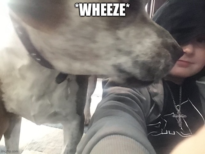 *WHEEZE* | made w/ Imgflip meme maker