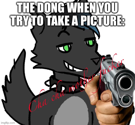 Cha cha mother fucker | THE DONG WHEN YOU TRY TO TAKE A PICTURE: | image tagged in cha cha mother fucker | made w/ Imgflip meme maker