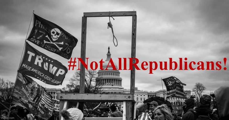 Let's take time to remember to not paint all Republicans with the same brush. | #NotAllRepublicans! | image tagged in capitol hill riot gallows | made w/ Imgflip meme maker