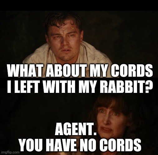 Rabbit chaos | WHAT ABOUT MY CORDS I LEFT WITH MY RABBIT? AGENT.    YOU HAVE NO CORDS | image tagged in rabbit | made w/ Imgflip meme maker