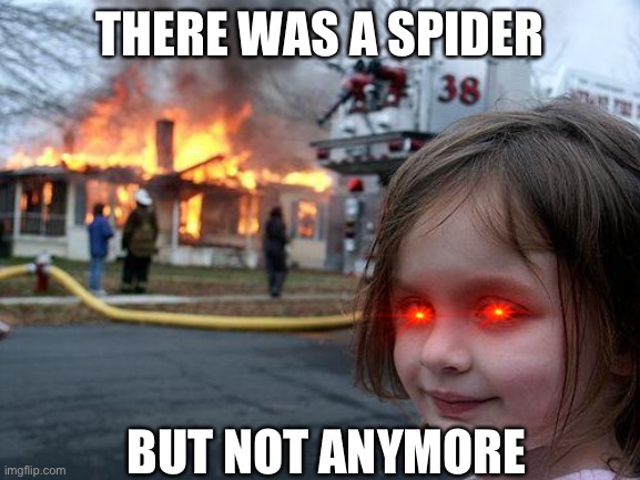 Spiders | THERE WAS A SPIDER; BUT NOT ANYMORE | image tagged in memes,disaster girl | made w/ Imgflip meme maker