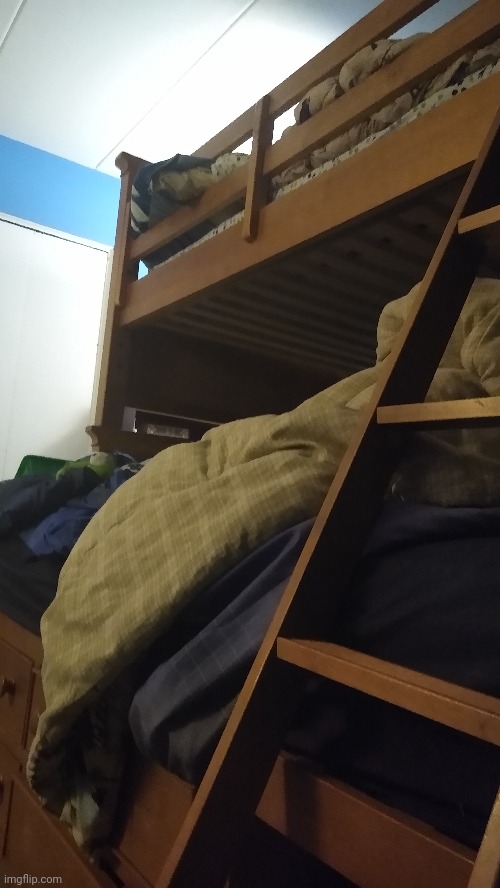 Bed reveal. Help I'm so bored | made w/ Imgflip meme maker