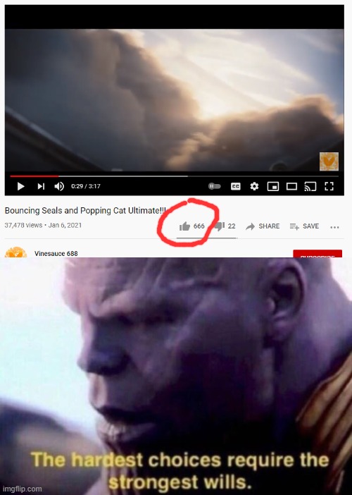 I want to like it... But it's to perfect | image tagged in the hardest choices require the strongest wills,popping cat,bouncing seals,youtube,666 | made w/ Imgflip meme maker
