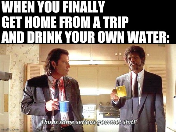 This is some serious gourmet shit | WHEN YOU FINALLY GET HOME FROM A TRIP AND DRINK YOUR OWN WATER: | image tagged in this is some serious gourmet shit | made w/ Imgflip meme maker