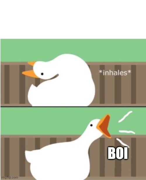 Untitled goose game honk | BOI | image tagged in untitled goose game honk | made w/ Imgflip meme maker