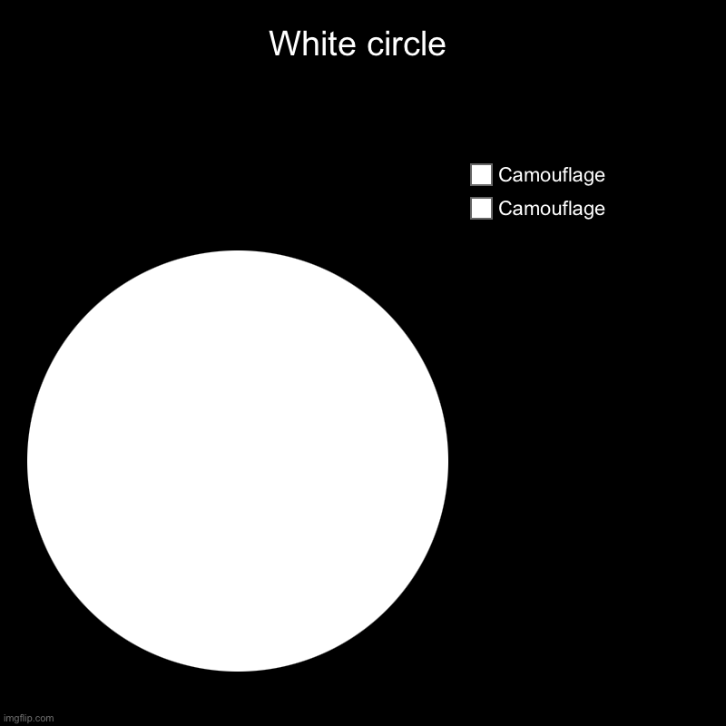 White circle | Camouflage , Camouflage | image tagged in charts,pie charts | made w/ Imgflip chart maker