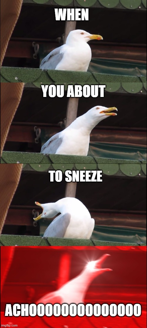 Inhaling Seagull | WHEN; YOU ABOUT; TO SNEEZE; ACHOOOOOOOOOOOOOO | image tagged in memes,inhaling seagull | made w/ Imgflip meme maker