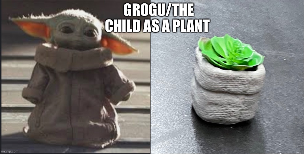 Yoda plant | GROGU/THE CHILD AS A PLANT | image tagged in plant | made w/ Imgflip meme maker