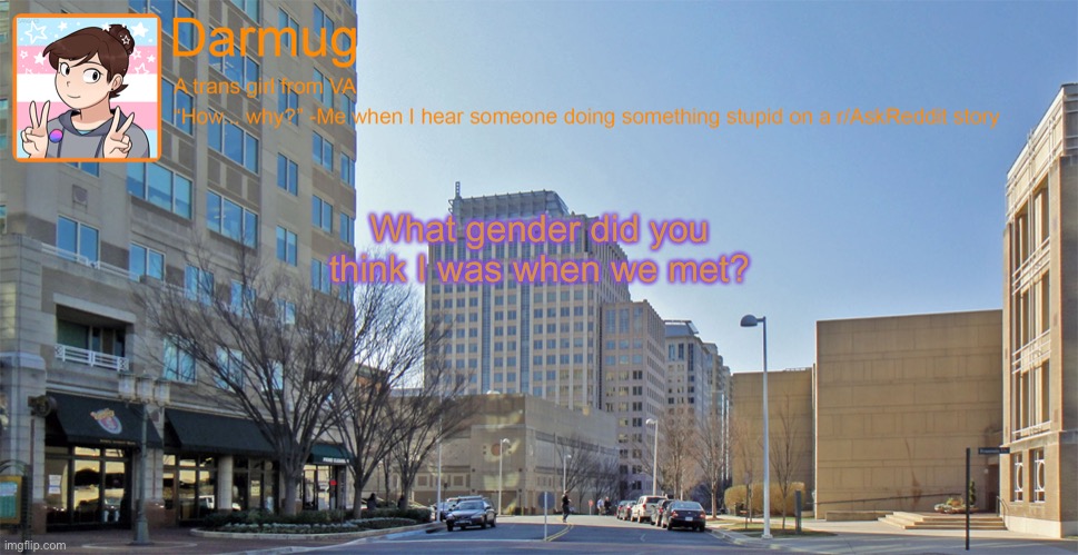 Darmug's announcement template | What gender did you think I was when we met? | image tagged in darmug's announcement template | made w/ Imgflip meme maker