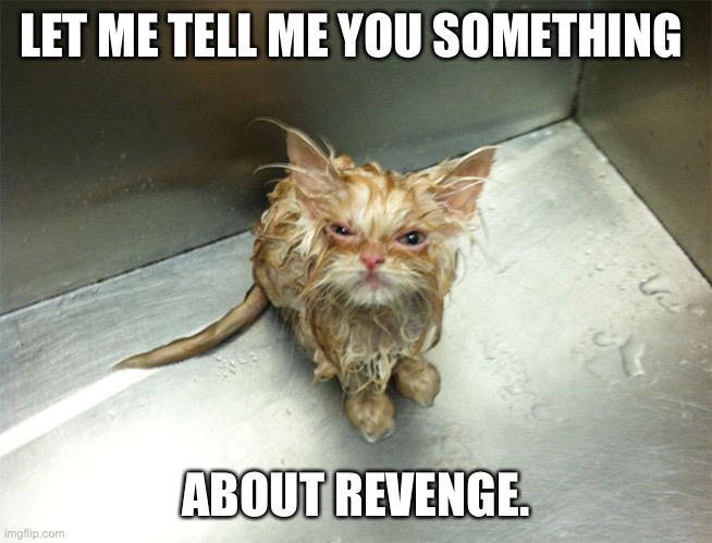 WET MAD CAT | LET ME TELL ME YOU SOMETHING; ABOUT REVENGE. | image tagged in wet mad cat | made w/ Imgflip meme maker