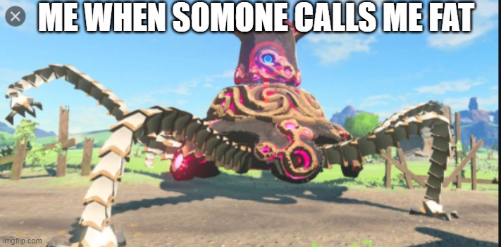 ME WHEN SOMONE CALLS ME FAT | image tagged in the legend of zelda breath of the wild,video games | made w/ Imgflip meme maker