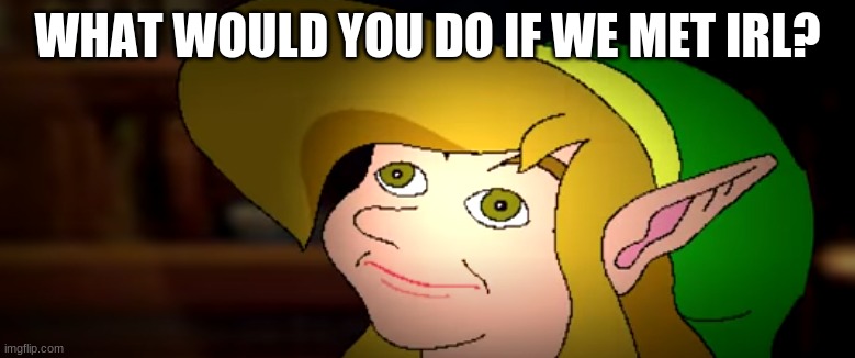 derp link | WHAT WOULD YOU DO IF WE MET IRL? | image tagged in derp link,memes | made w/ Imgflip meme maker