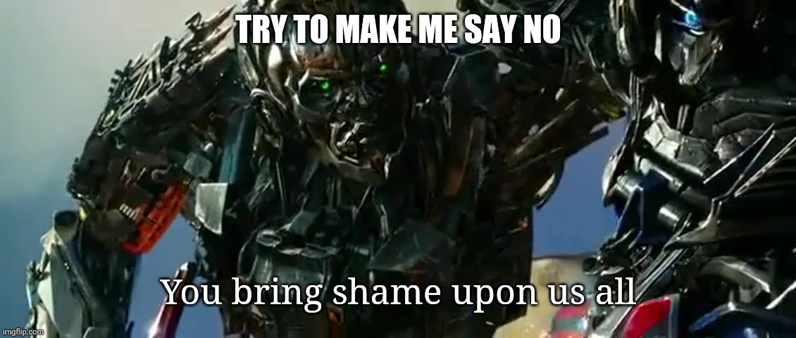 You bring shame upon us all | TRY TO MAKE ME SAY NO | image tagged in you bring shame upon us all | made w/ Imgflip meme maker