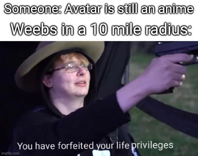 I hate to say it, but avatar is not an anome | Someone: Avatar is still an anime; Weebs in a 10 mile radius: | image tagged in you have forfeited life privileges | made w/ Imgflip meme maker